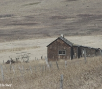 30-gallery-allen-hachey-1