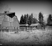 31-gallery-allen-hachey-2