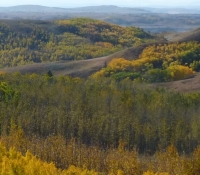 32-gallery-grpp-fall-colours-ejh