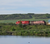37-gallery-train
