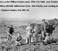 79-na-1092-14-potatoes-1920-website-copy